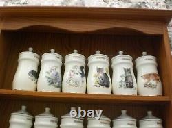 Full Set of 30 Lesley Anne Ivory Cat Spice Jars and Original Wooden Stand/Rack