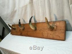 Steer Bull Cow 4 Horn Coat, Hat Rack Wall Mount Western Country Ranch Bunkhouse