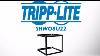 Tripp Lite Adjustable Wall Mount Open Frame Rack Srwo8u22